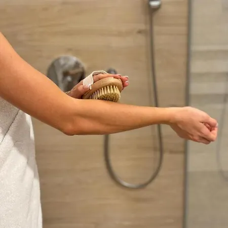 Celje Spa Apartment *