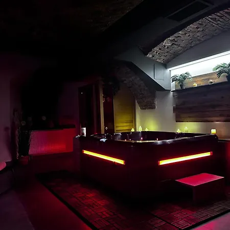 Celje Spa Apartment *