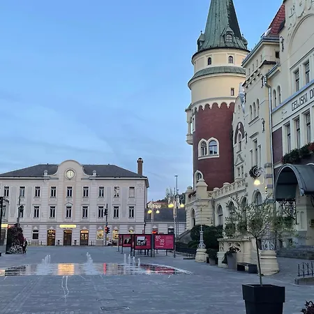 Celje Spa Apartment Appartement