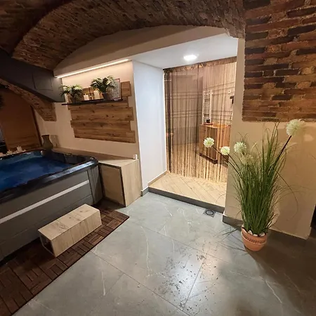 Celje Spa Apartment ツェリェ