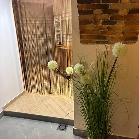 Celje Spa Apartment