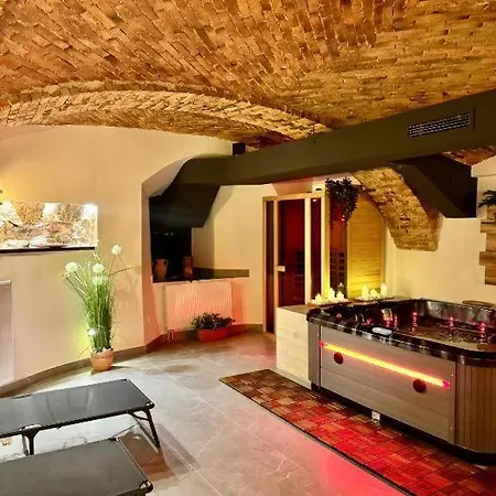 Celje Spa Apartment *