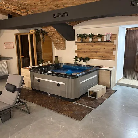 Apartmán Celje Spa Apartment *