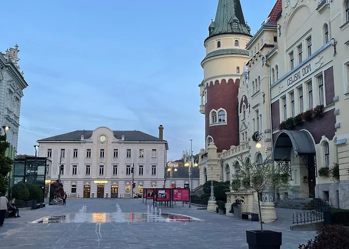 Celje Spa Apartment Daire